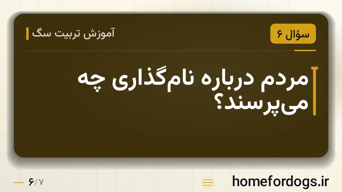 مردم درباره نامگذاری چه میپرسند؟