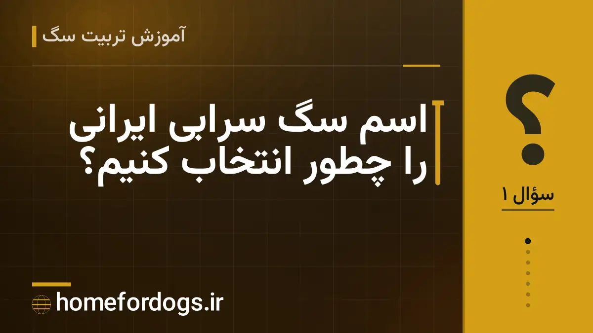 اسم سگ سرابی ایرانی را چطور انتخاب کنیم؟