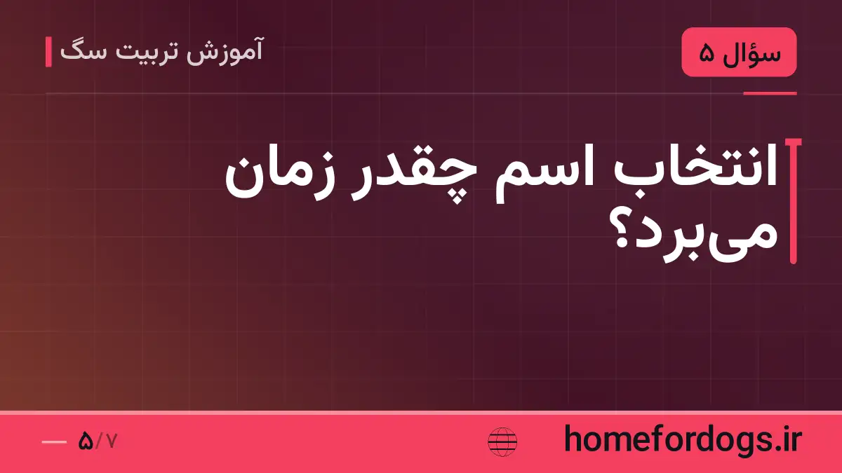 انتخاب اسم چقدر زمان می‌برد؟