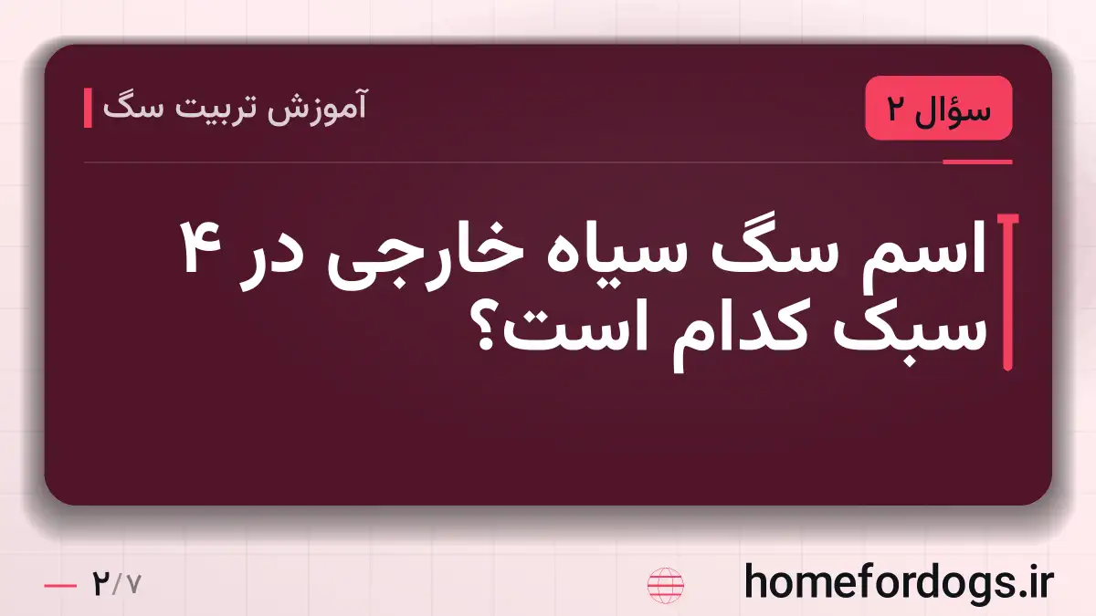اسم سگ سیاه خارجی در ۴ سبک کدام است؟