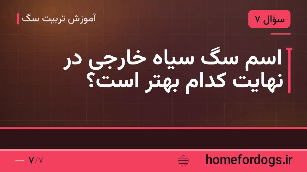 اسم سگ سیاه خارجی در نهایت کدام بهتر است؟