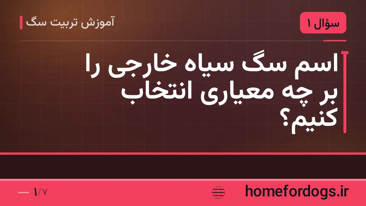 اسم سگ سیاه خارجی را بر چه معیاری انتخاب کنیم؟