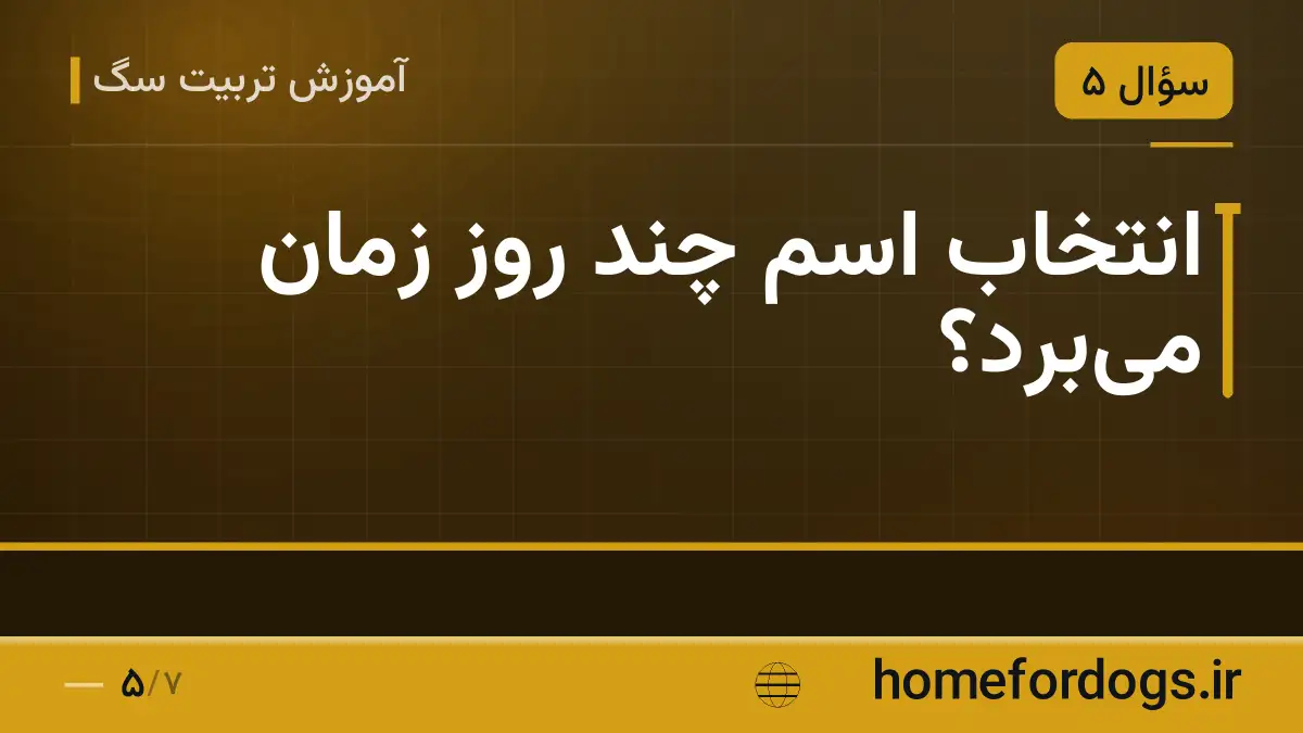 انتخاب اسم چند روز زمان می‌برد؟