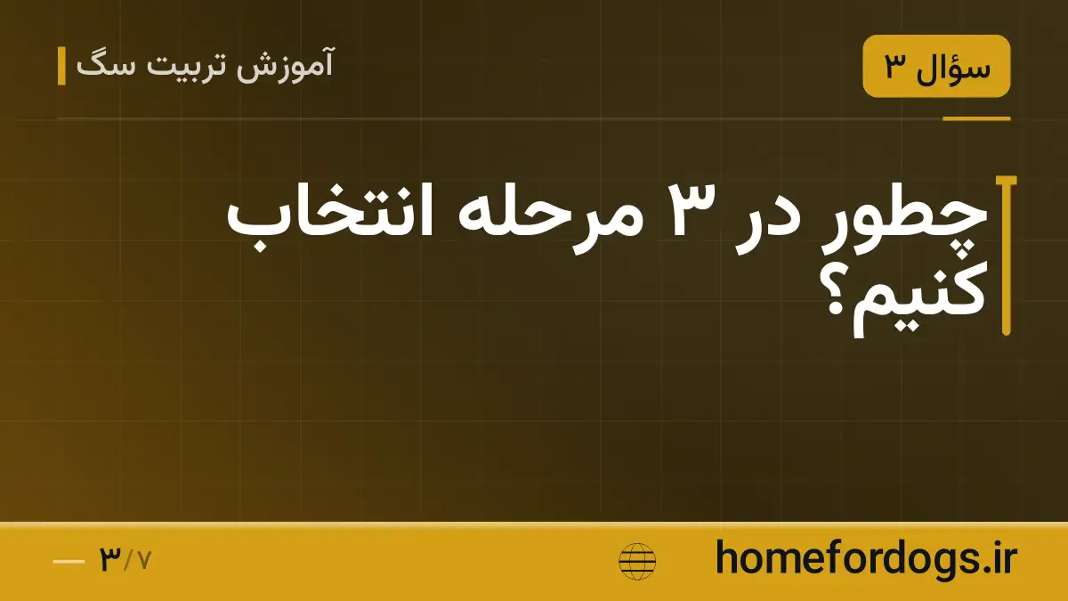 چطور در ۳ مرحله انتخاب کنیم؟