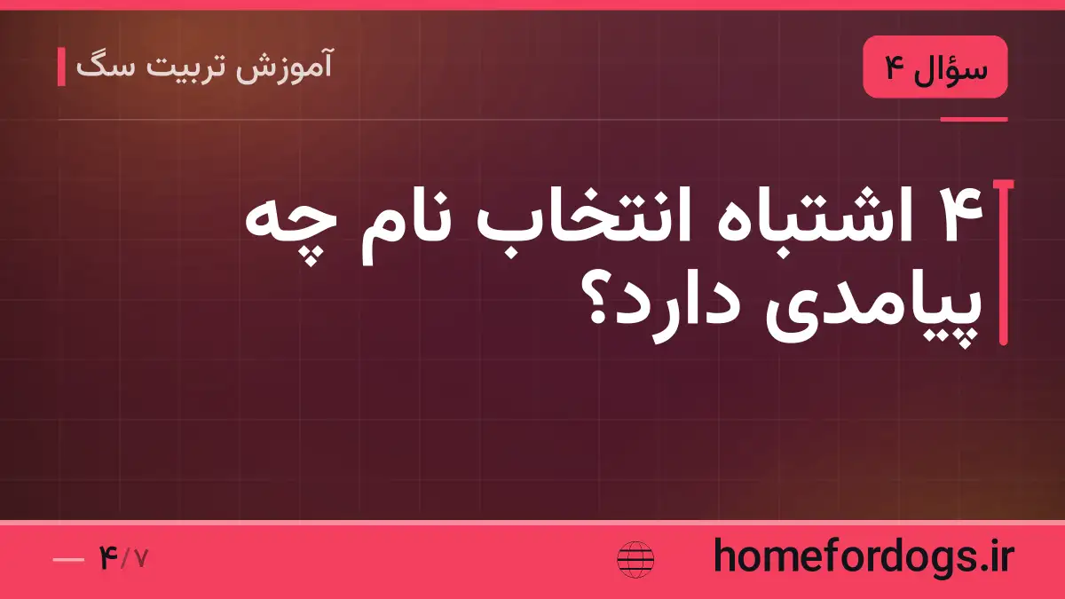 ۴ اشتباه انتخاب نام چه پیامدی دارد؟
