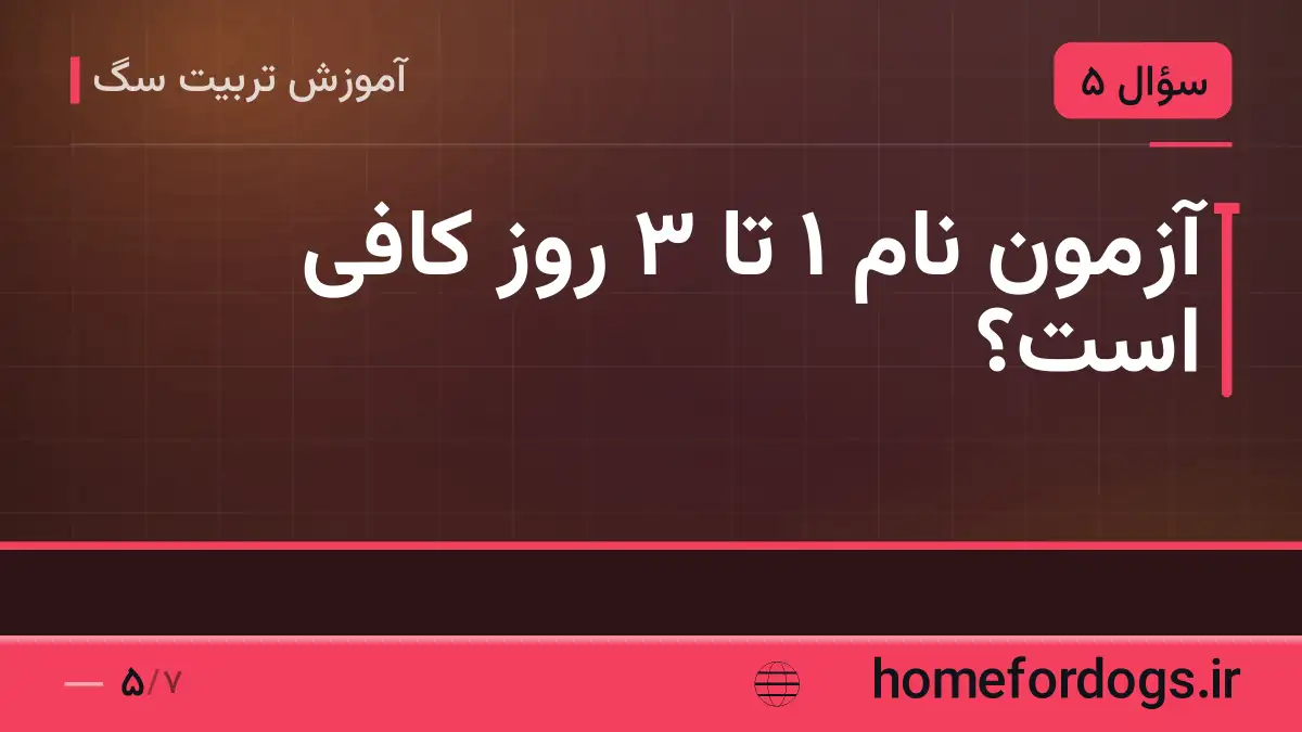 آزمون نام ۱ تا ۳ روز کافی است؟