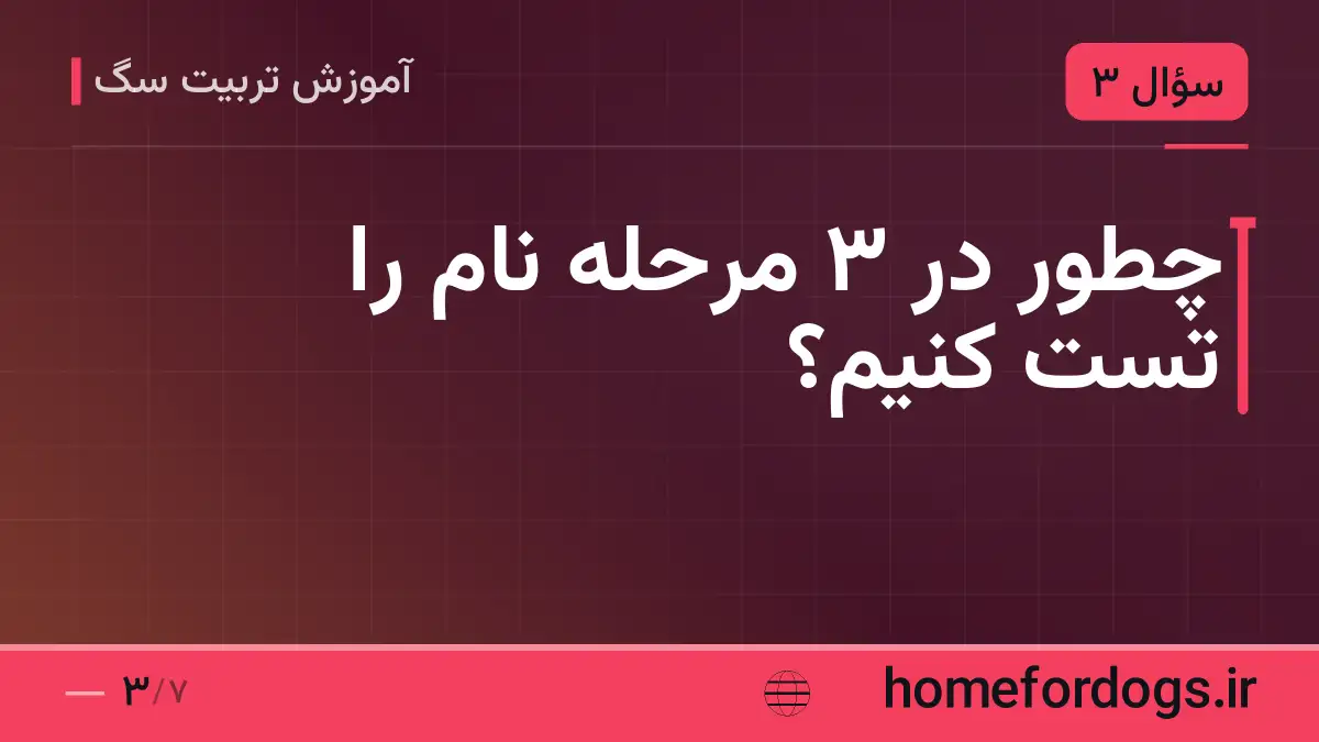 چطور در ۳ مرحله نام را تست کنیم؟