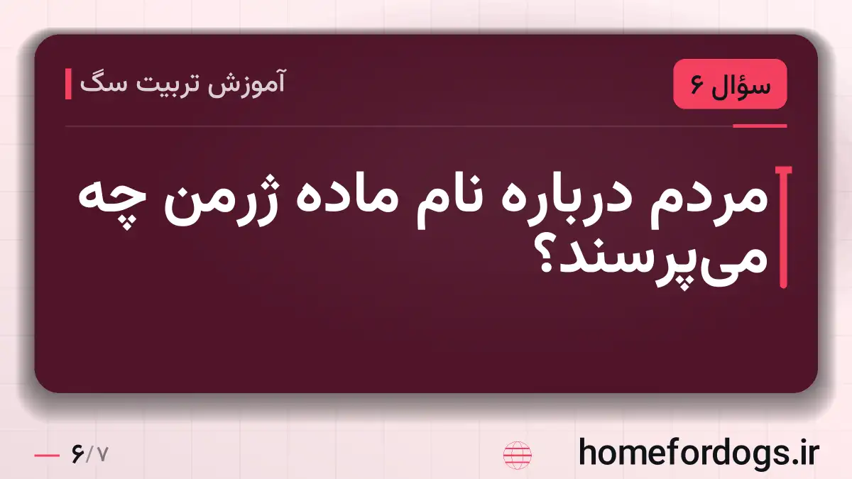 مردم درباره نام ماده ژرمن چه می‌پرسند؟