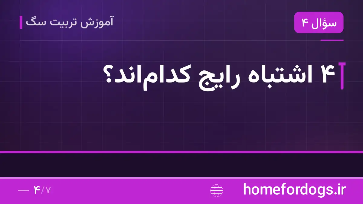 ۴ اشتباه رایج کداماند؟