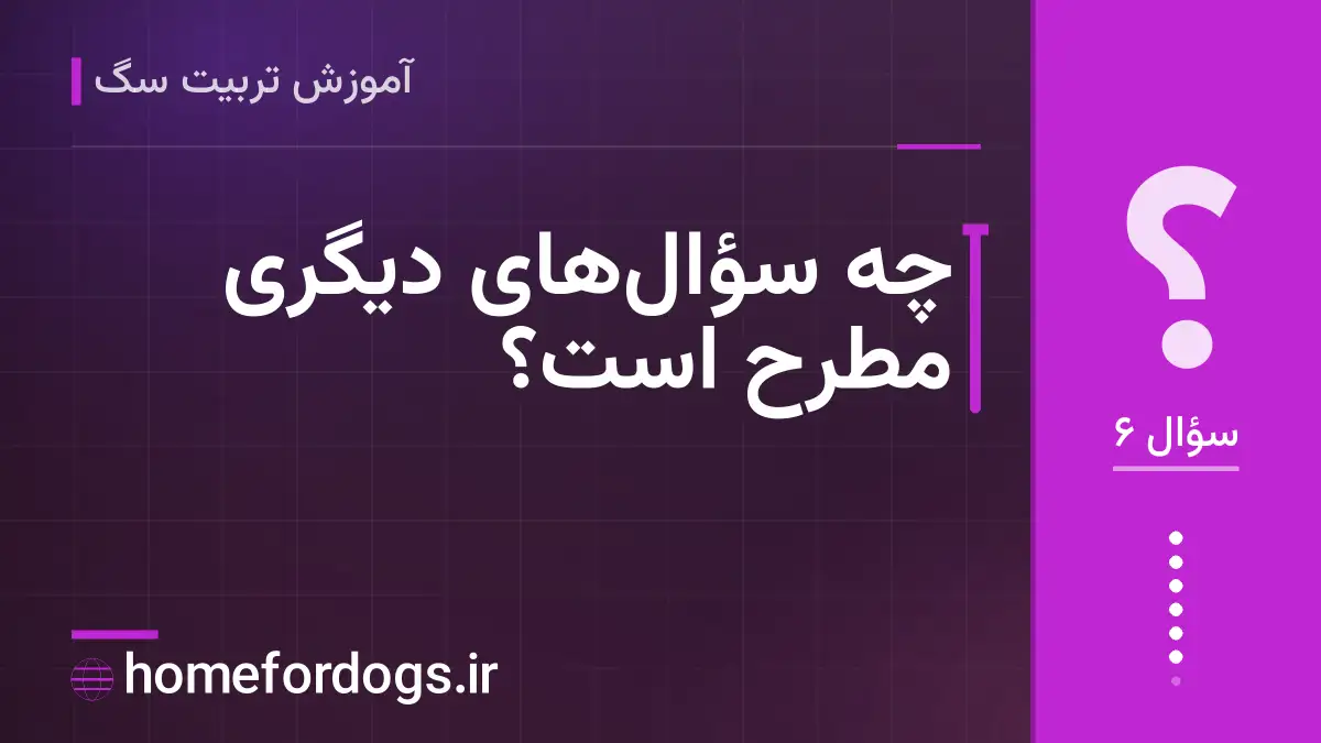 چه سؤالهای دیگری مطرح است؟