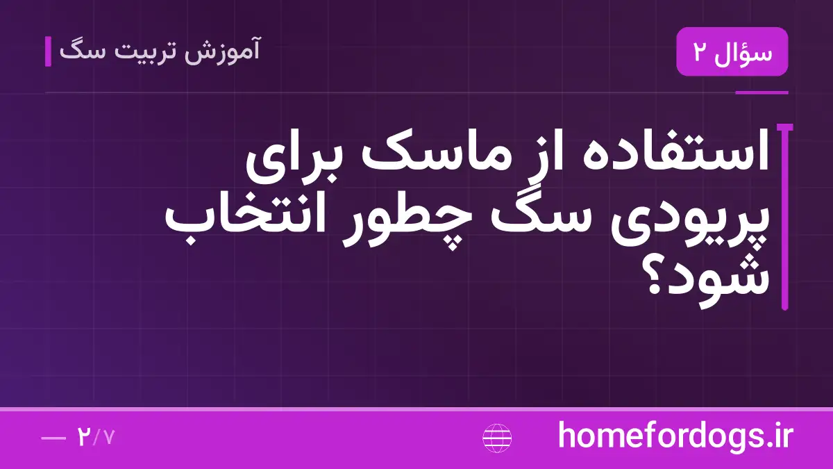 استفاده از ماسک برای پریودی سگ چطور انتخاب شود؟