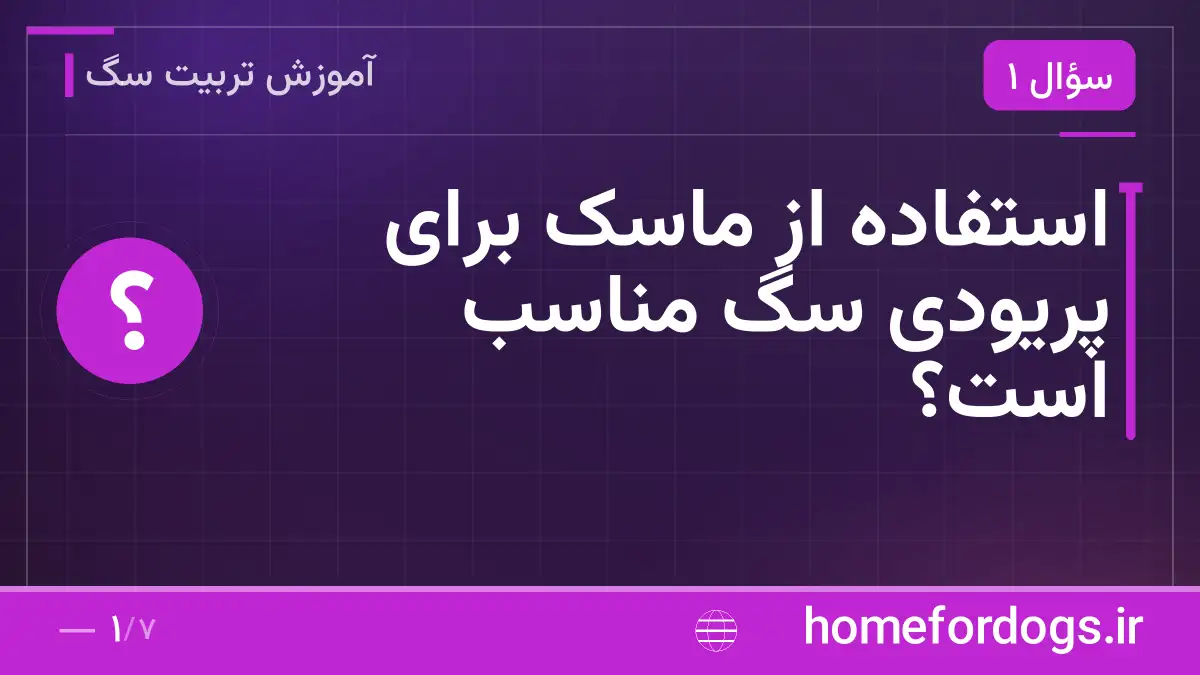 استفاده از ماسک برای پریودی سگ مناسب است؟