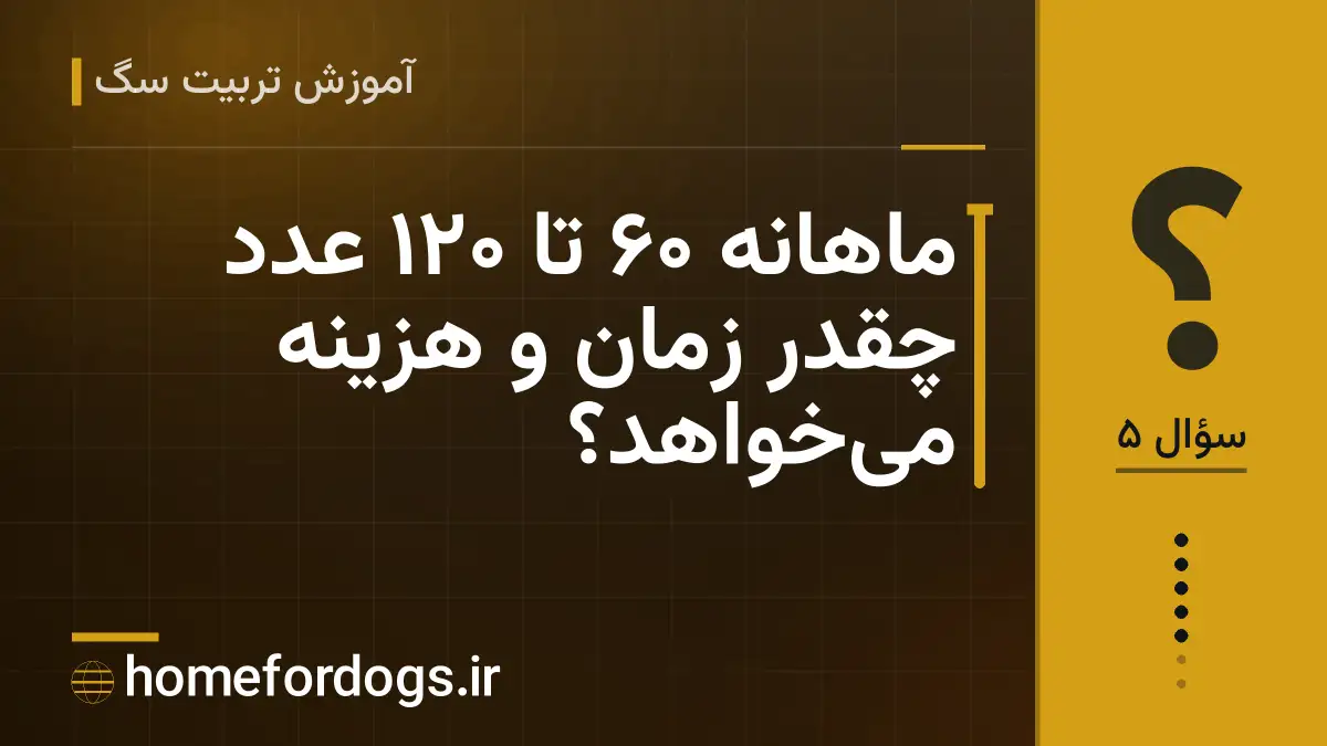ماهانه ۶۰ تا ۱۲۰ عدد چقدر زمان و هزینه می‌خواهد؟