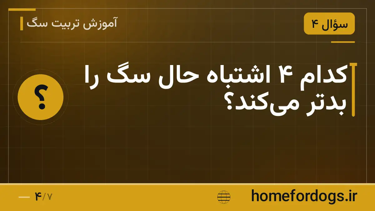 کدام ۴ اشتباه حال سگ را بدتر می‌کند؟