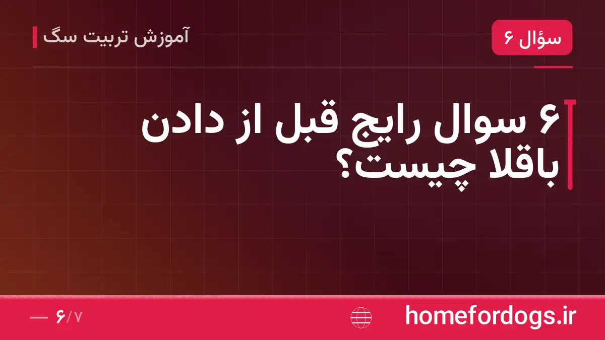۶ سوال رایج قبل از دادن باقلا چیست؟