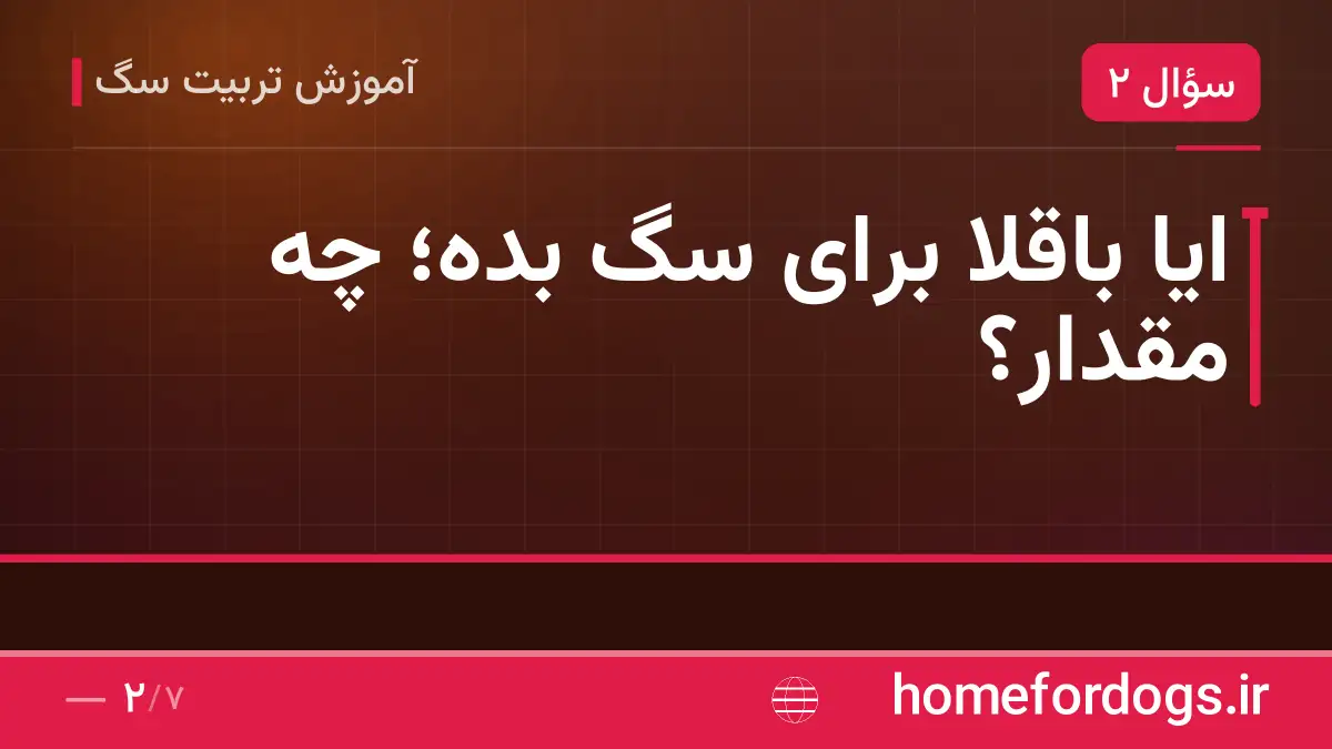 ایا باقلا برای سگ بده؛ چه مقدار؟