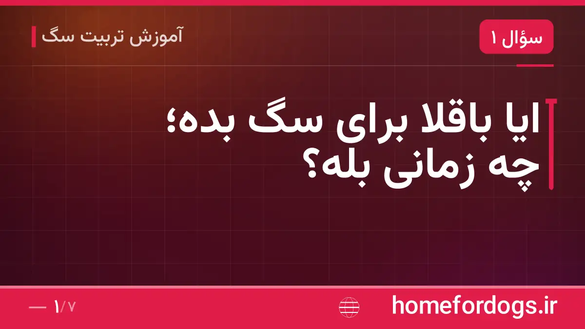 ایا باقلا برای سگ بده؛ چه زمانی بله؟