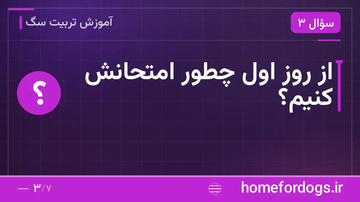 از روز اول چطور امتحانش کنیم؟
