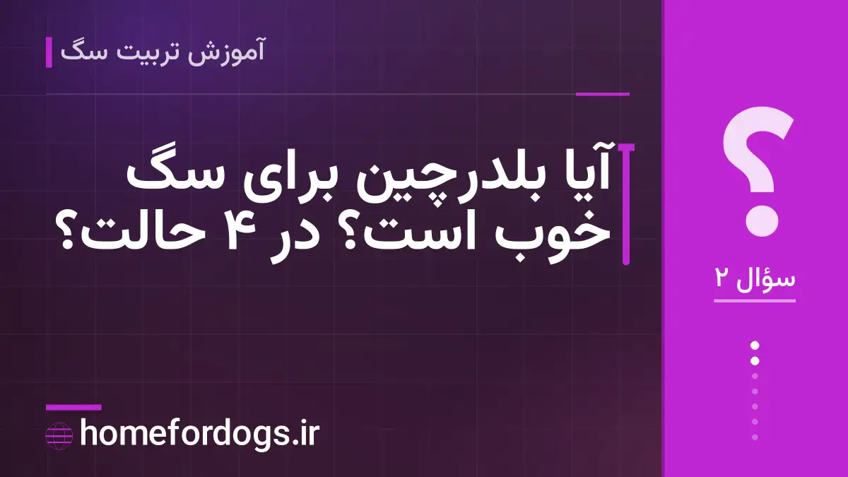 آیا بلدرچین برای سگ خوب است؟ در ۴ حالت؟