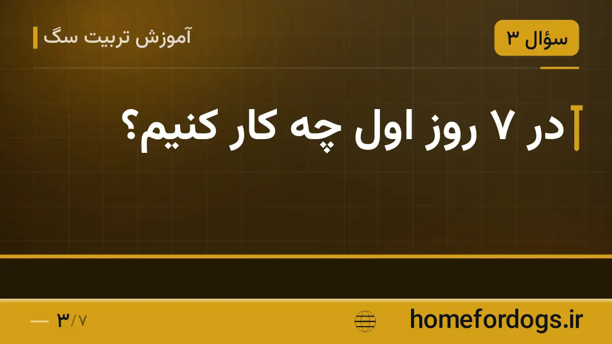 در ۷ روز اول چه کار کنیم؟