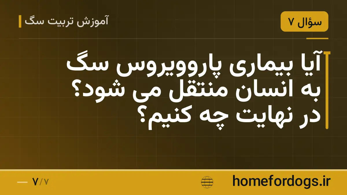 آیا بیماری پاروویروس سگ به انسان منتقل می شود؟ در نهایت چه کنیم؟