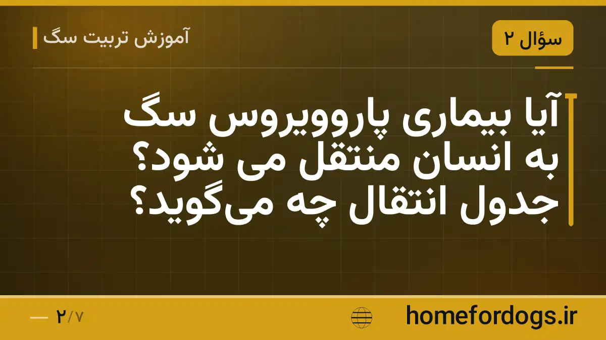 آیا بیماری پاروویروس سگ به انسان منتقل می شود؟ جدول انتقال چه می‌گوید؟