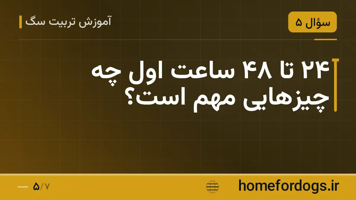 ۲۴ تا ۴۸ ساعت اول چه چیزهایی مهم است؟