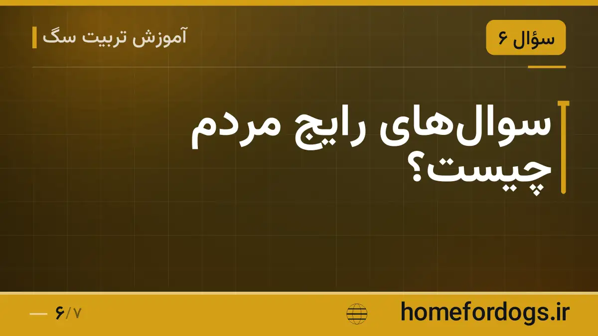 سوال‌های رایج مردم چیست؟