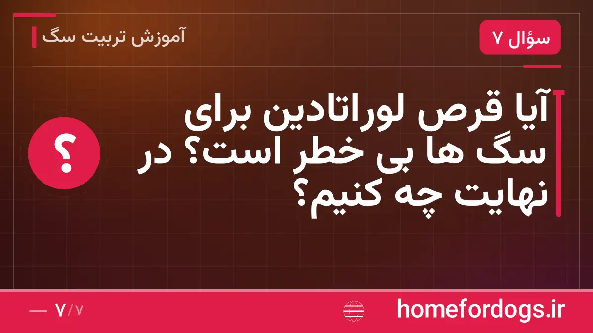 آیا قرص لوراتادین برای سگ ها بی خطر است؟ در نهایت چه کنیم؟
