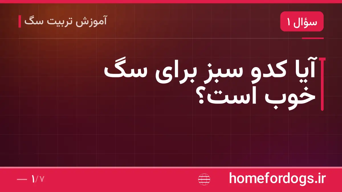 آیا کدو سبز برای سگ خوب است؟