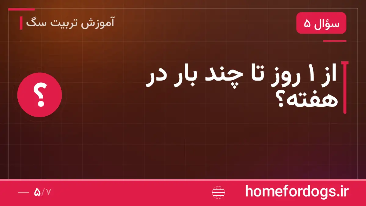 از ۱ روز تا چند بار در هفته؟