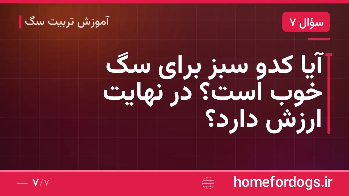 آیا کدو سبز برای سگ خوب است؟ در نهایت ارزش دارد؟