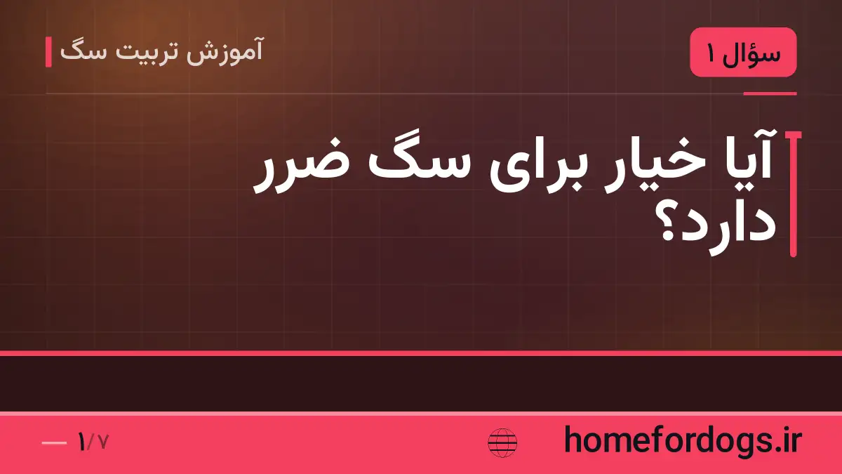 آیا خیار برای سگ ضرر دارد؟
