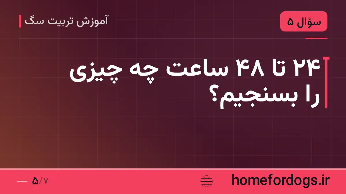 ۲۴ تا ۴۸ ساعت چه چیزی را بسنجیم؟