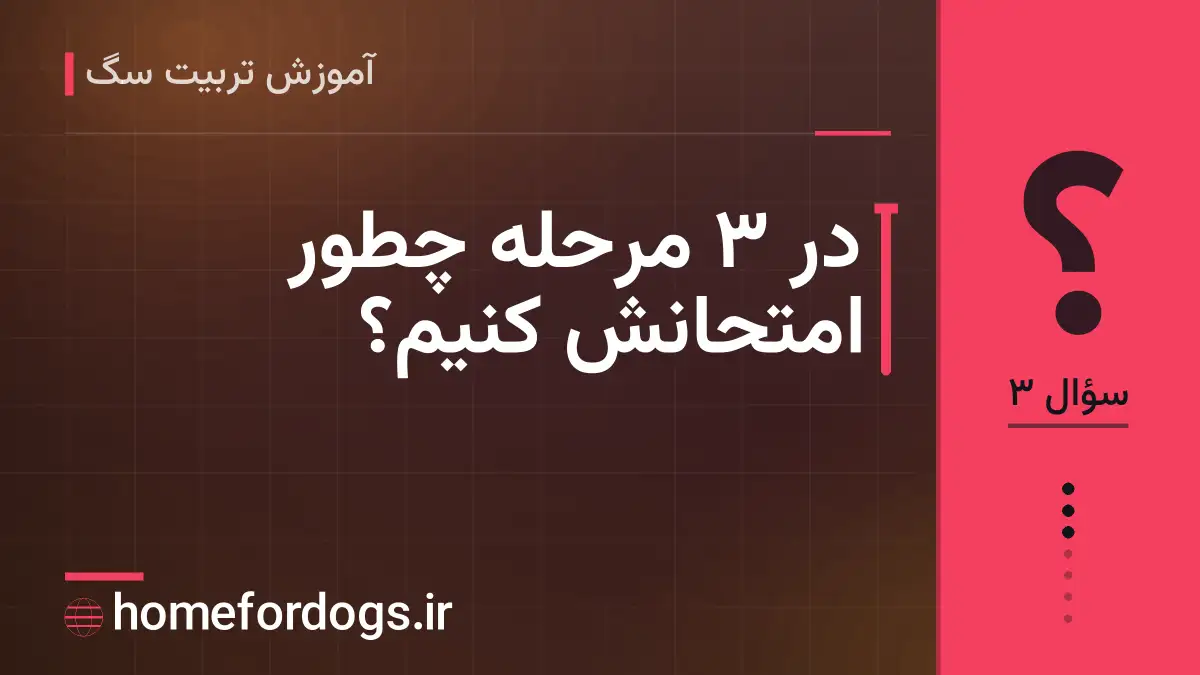 در ۳ مرحله چطور امتحانش کنیم؟