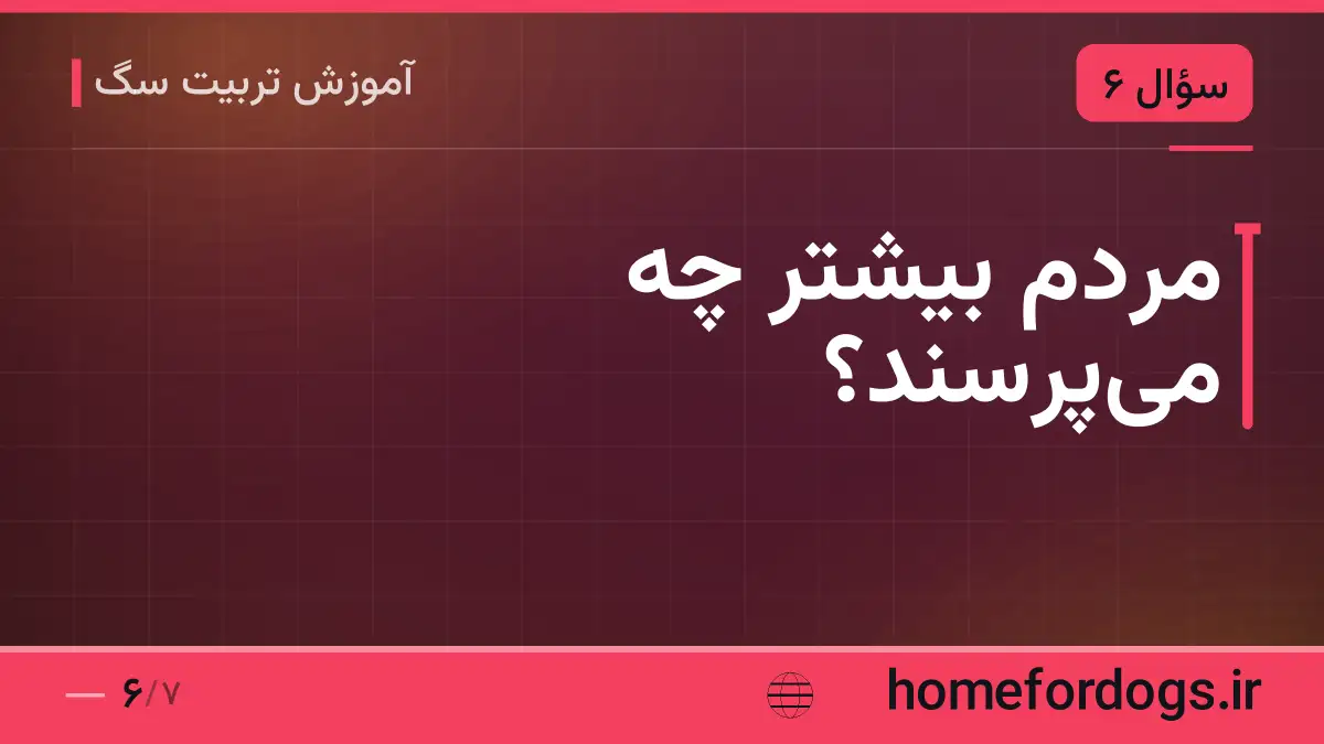 مردم بیشتر چه می‌پرسند؟