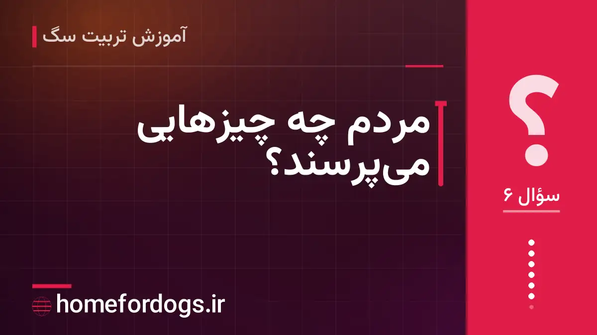 مردم چه چیزهایی می‌پرسند؟
