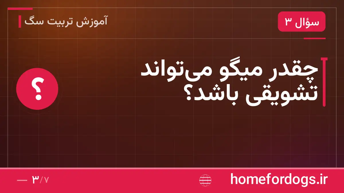 چقدر میگو می‌تواند تشویقی باشد؟