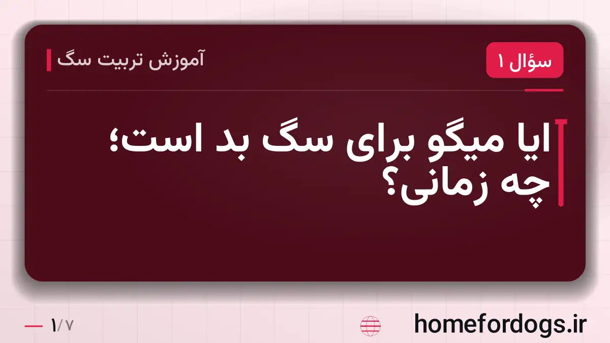 ایا میگو برای سگ بد است؛ چه زمانی؟