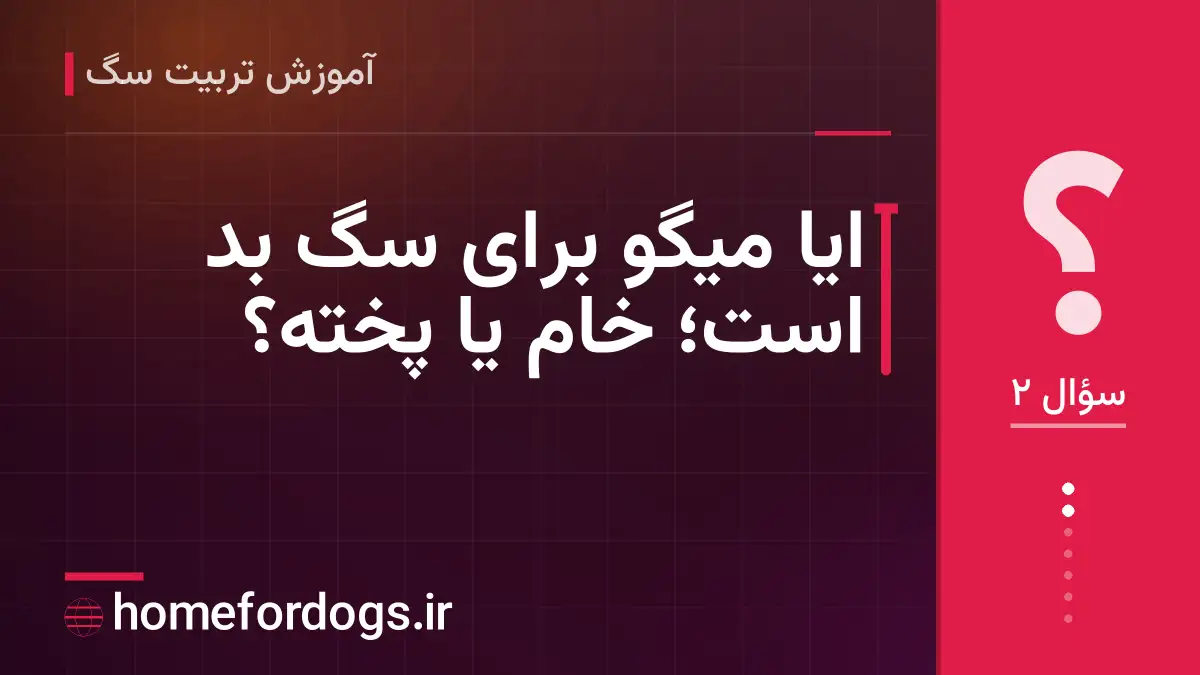 ایا میگو برای سگ بد است؛ خام یا پخته؟
