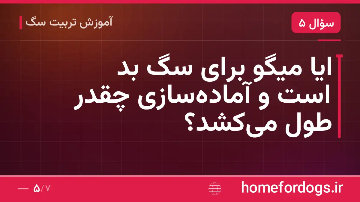 ایا میگو برای سگ بد است و آماده‌سازی چقدر طول می‌کشد؟