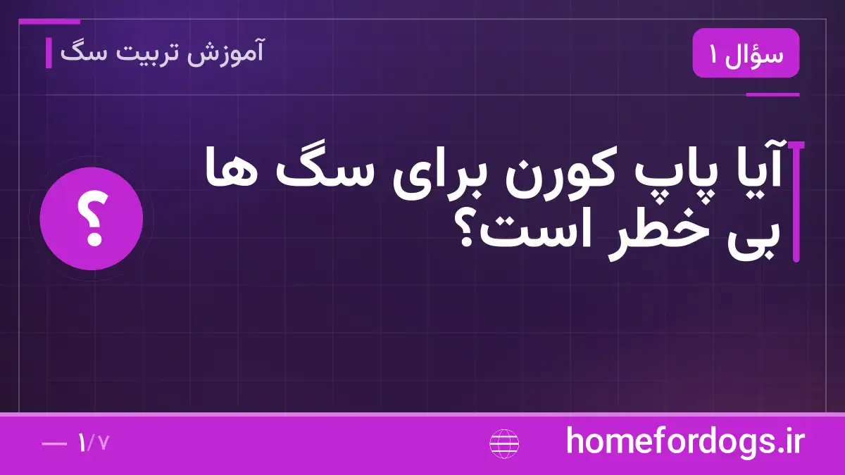 آیا پاپ کورن برای سگ ها بی خطر است؟
