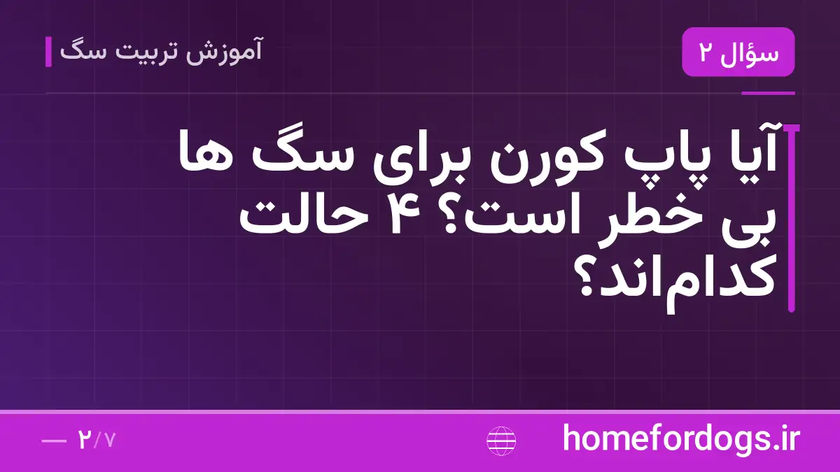 آیا پاپ کورن برای سگ ها بی خطر است؟ ۴ حالت کدام‌اند؟