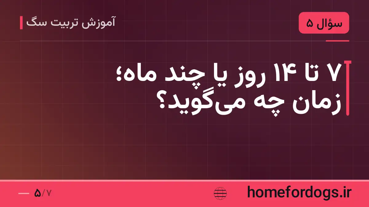 ۷ تا ۱۴ روز یا چند ماه؛ زمان چه می‌گوید؟