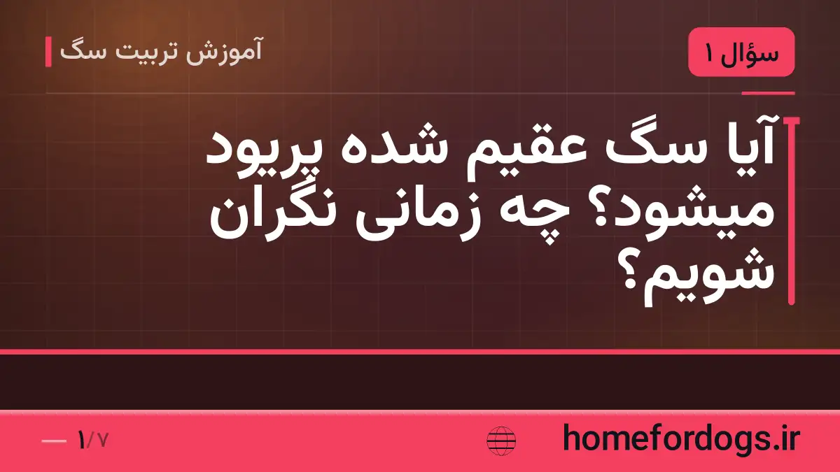 آیا سگ عقیم شده پریود میشود؟ چه زمانی نگران شویم؟