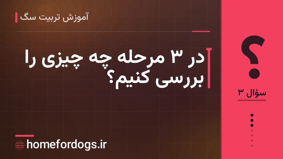 در ۳ مرحله چه چیزی را بررسی کنیم؟