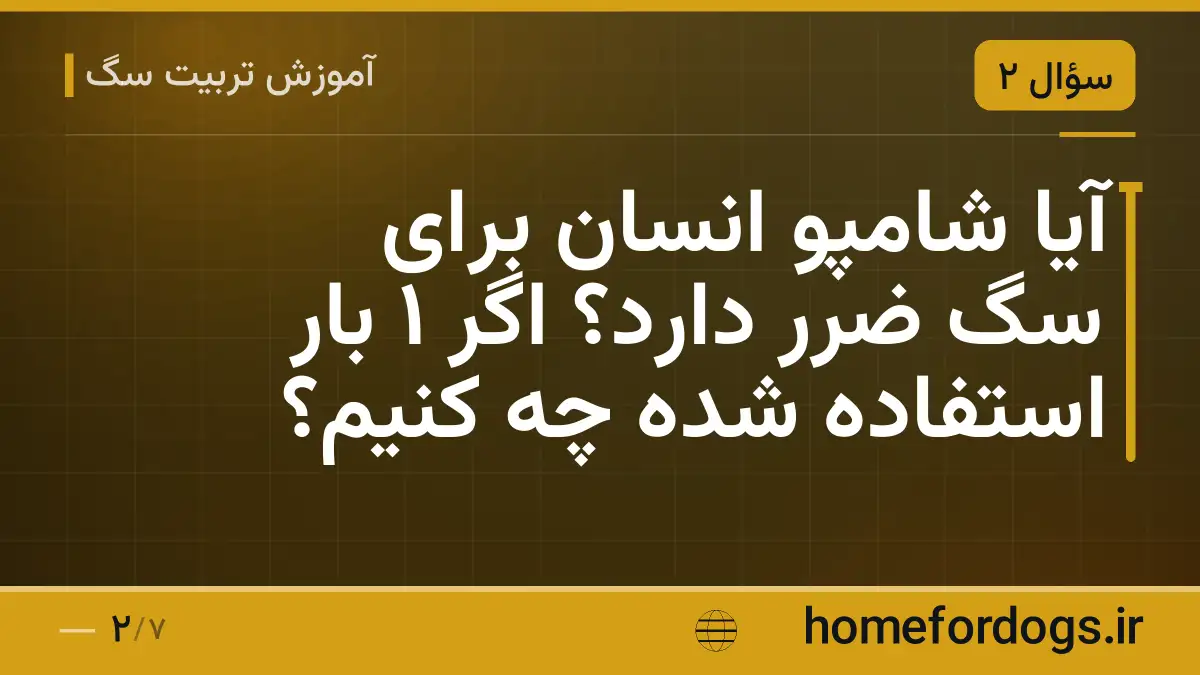 آیا شامپو انسان برای سگ ضرر دارد؟ اگر ۱ بار استفاده شده چه کنیم؟