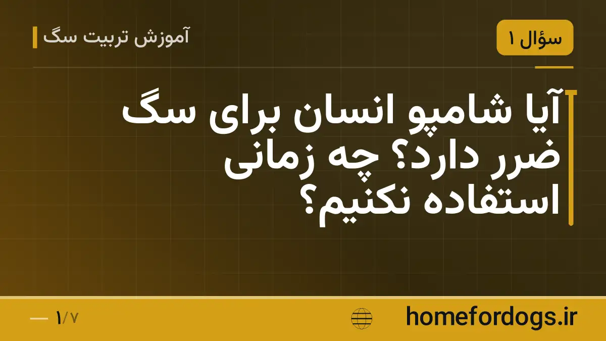 آیا شامپو انسان برای سگ ضرر دارد؟ چه زمانی استفاده نکنیم؟