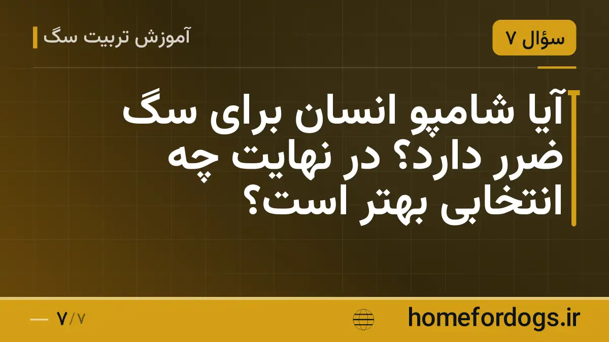 آیا شامپو انسان برای سگ ضرر دارد؟ در نهایت چه انتخابی بهتر است؟