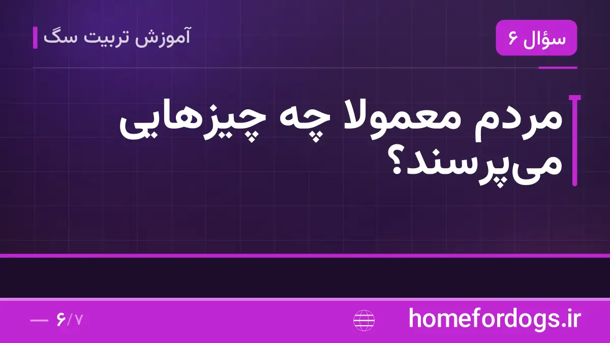 مردم معمولاً چه چیزهایی می‌پرسند؟